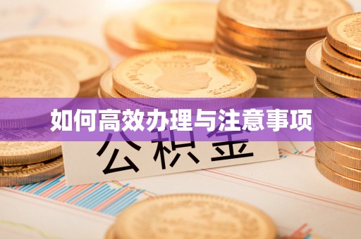 定结如何高效办理与注意事项