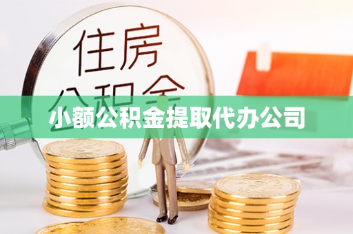 定结小额公积金提取代办公司